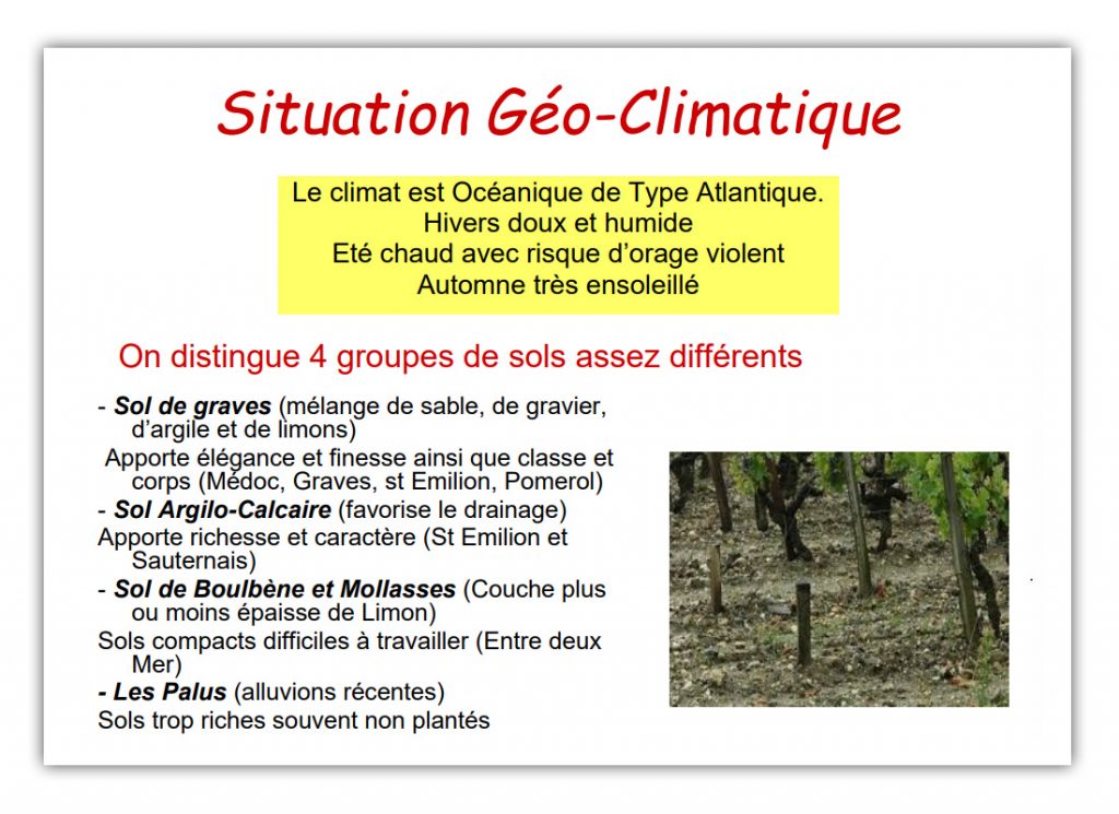 slide cours oenologie